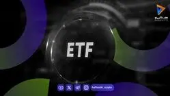 ورود میلیون‌ها دلار سرمایه به صندوق‌های این ۲ آلت کوین مطرح