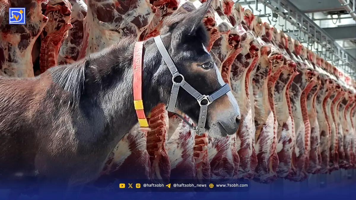مجوز توزیع گوشت اسب و الاغ صادر شد؟!