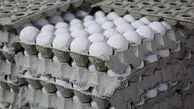 قیمت تخم مرغ امروز دوشنبه ۲۷ مهر ۱۴۰۵ / یک شانه تخم مرغ چند؟