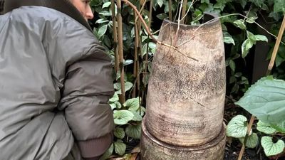 کشف گنج باشکوه روستای سوخته بعد از 2700 سال در جنگل