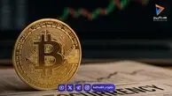 تحلیل قیمت بیت کوین: نبرد بر سر حمایت ۸۱ هزار دلاری در بحبوحه فشار فروش