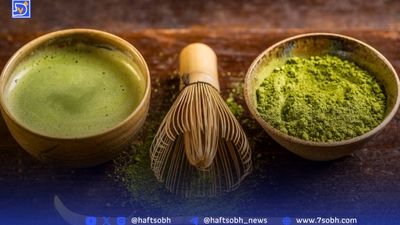 رژیم غذایی که ذهن شما را جوان نگه می‌دارد