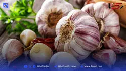 خوردن سیر خام در ناشتا باعث لاغری می‌شود؟