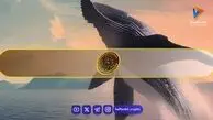 خرید سنگین نهنگ‌های بیت کوین؛ رکورد ۶ ماهه شکسته شد