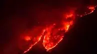 تصاویری وحشتناک از سوختن جنگل هیرکانی + فیلم