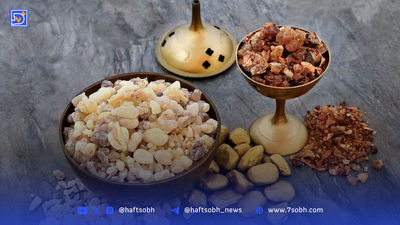 ۵ عادت روزانه که ذهن شما را به خواب می‌برد!