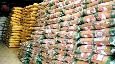 گالری‌ها فعالیت خود را از سر می‌گیرند