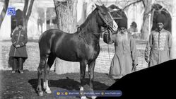 سفر در زمان با میرآخور ناصرالدین شاه قاجار