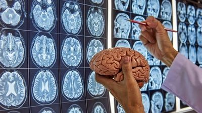 تبریک خاص هادی چوپان به «کوه عضله هالیوود» در روز تولدش