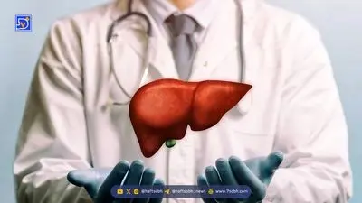 با این خوراکی‌ها در برابر آلودگی هوا سپر دفاعی بسازید