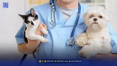 زیبایی به قیمت رنج؛ جراحی‌هایی که حیوان را لال، بی‌دفاع و بی‌احساس می‌کند