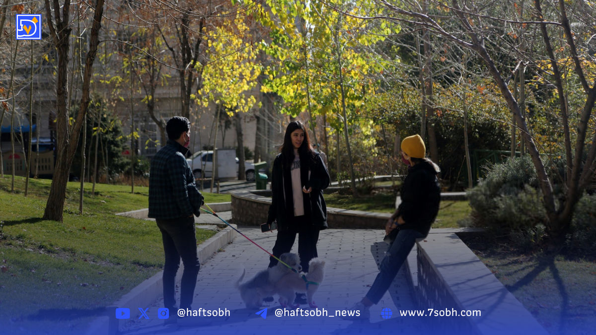 چوپانی مدرن در خیابانهای تهران
