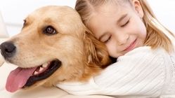 واردات حیوانات خانگی غیرقانونی شد