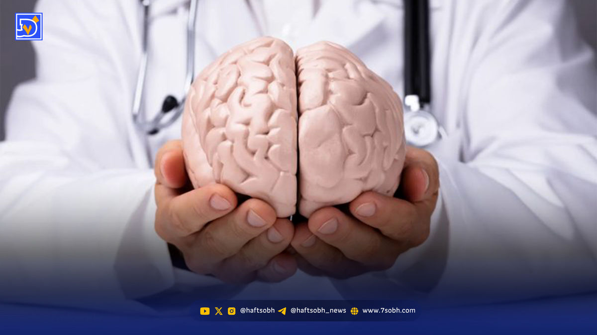 ۵ خوراکی شگفت‌انگیز برای تقویت حافظه و تمرکز ذهن