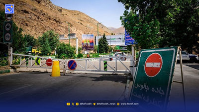 تشریح پرونده گوشت‌های آلوده وارد شده از مغولستان به رشت
