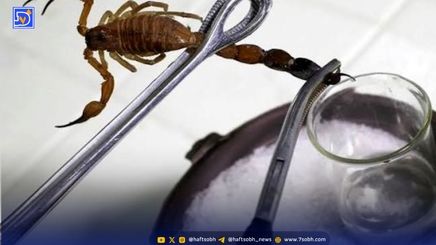 درمان سرطان با زهر عقرب!