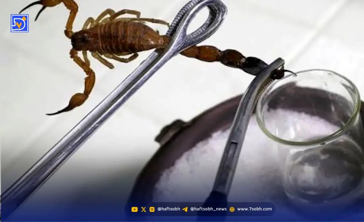 درمان سرطان با زهر عقرب!