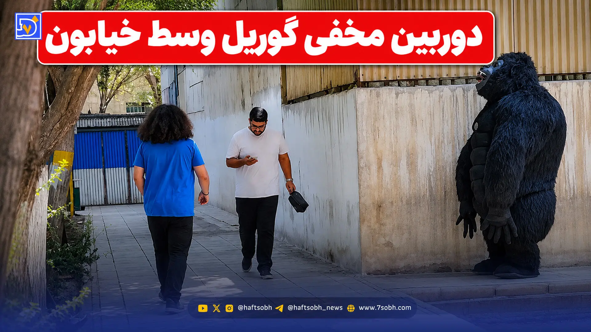 دوربین مخفی طنز اینستا گوریل وسط خیابون؛ مسیر زندگیش کلا عوض شد!