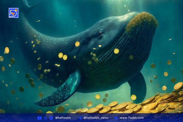 سقوط ناگهانی بیت‌کوین و اتریوم؛ نهنگ‌ها در حال نقد کردن سود!