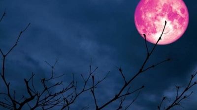 تصاویر زیبایی که امشب از ماه کامل ثبت شد؛ سوژه جدید برای عکاسان