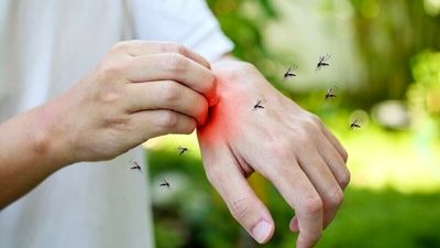 ۹۰ درصد ایرانی‌ها گروه خونی مثبت دارند