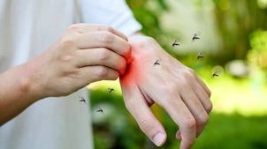 این گروه خونی برای پشه‌ها مثل طعمه‌ای جذاب‌تر است