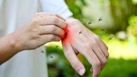 این گروه خونی برای پشه‌ها مثل طعمه‌ای جذاب‌تر است