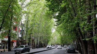 عکس تبلیغ ماالشعیر به سبک مصرف مشروبات الکلی در خیابان های شمال تهران