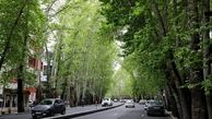 تونل زمان؛ عکس رنگی خیابان ولیعصر در دهه ۴۰