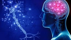 رتبه ایران در جدیدترین رتبه‌بندی IQ کشورها؛ آیا ایران در سال ۲۰۲۵ کاهش رتبه دارد؟