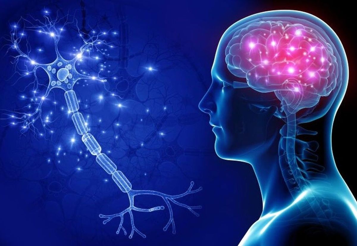 رتبه ایران در جدیدترین رتبهبندی IQ کشورها؛ آیا ایران در سال ۲۰۲۵ کاهش رتبه دارد؟