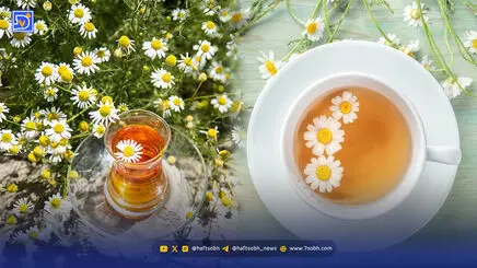 از کاهش تنش تا تسکین دردهای قاعدگی؛ با خواص دمنوش بابونه آشنا شوید