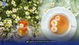 از کاهش تنش تا تسکین دردهای قاعدگی؛ با خواص دمنوش بابونه آشنا شوید