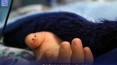 فوت دانش آموز زرندی در زنگ ورزش چه بود؟