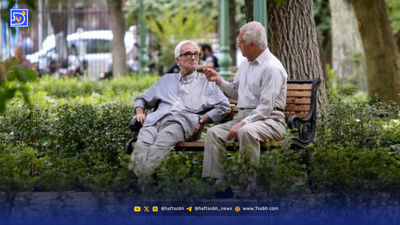 صدور رای بخش سوم پرونده «کینگ مانی» 