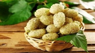 درمان خارش پوست سر به ساده ترین روش