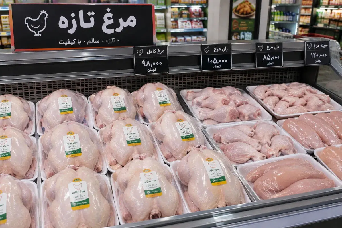 آخرین قیمت مرغ امروز / تخم‌مرغ شانه‌ای ۵۴۰ هزار تومان شد