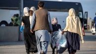 اتباع مجاز هم از ایران اخراج می شوند؟ + فیلم