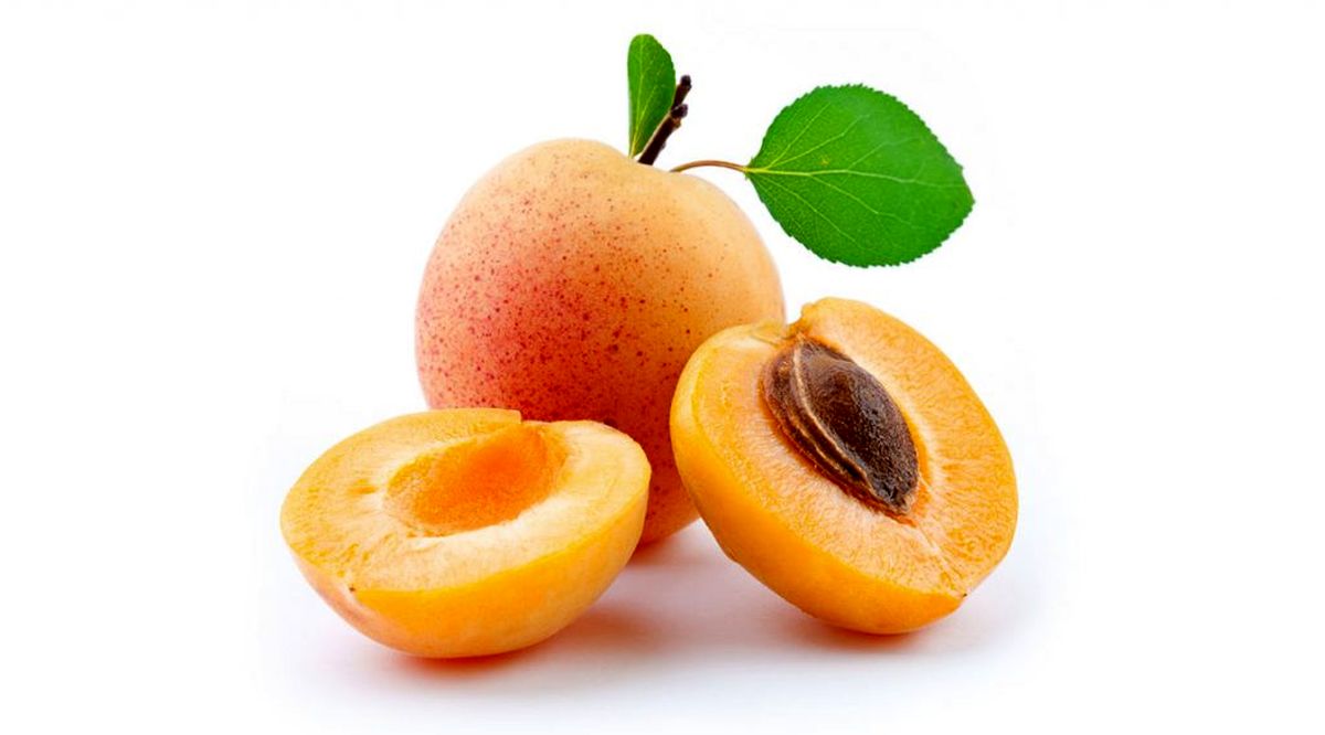 هشدار! خوردن هسته این میوه خوشمزه تابستانی ممنوع