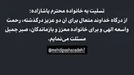 همدردی سرمربی تیم ملی با مهدی پاشازاده
