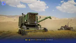 خرید دولتی از تولید عقب ماند