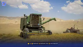 خرید دولتی از تولید عقب ماند