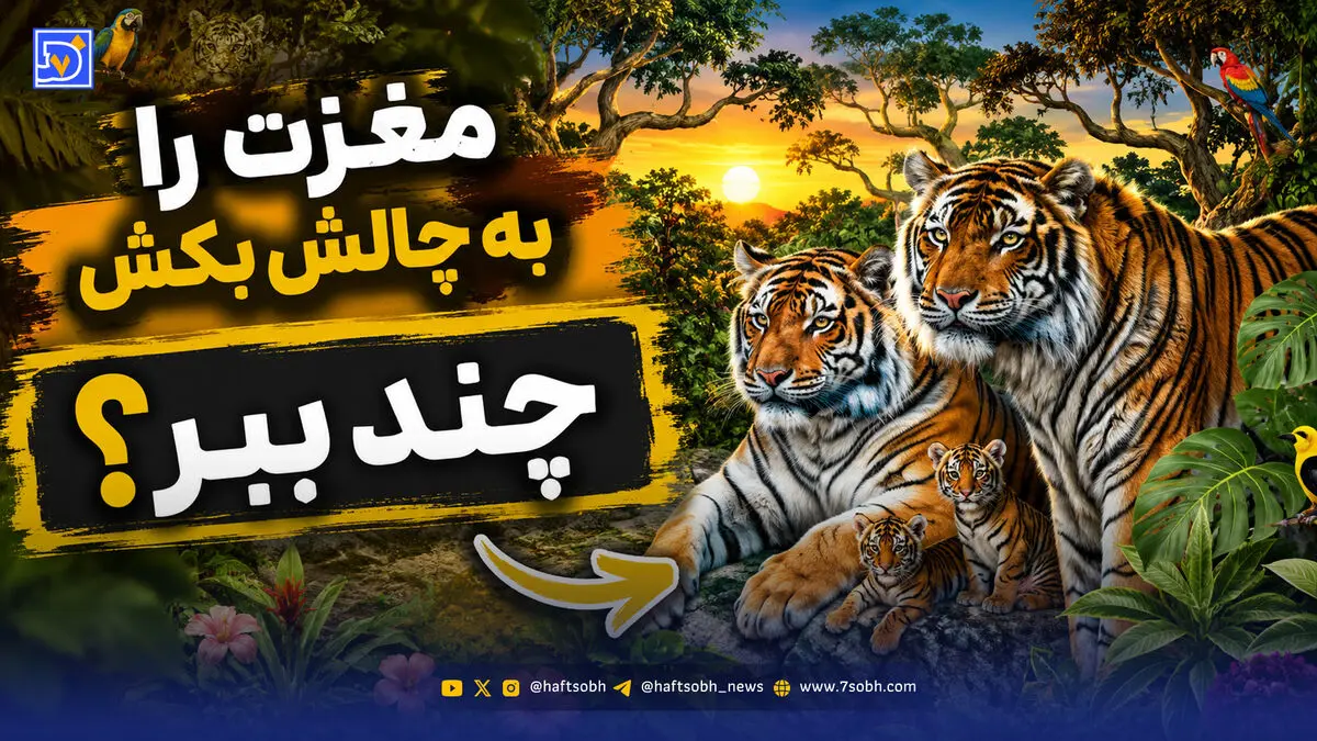 مغزت را به چالش بکش | 16 ببر در این جنگل وجود دارد؛ می توانید آن‌ها را پیدا کنید؟