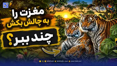 مغزت را به چالش بکش | چه کسی می تواند زیر 10 ثانیه عصای متفاوت را پیدا کند؟