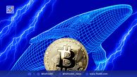نهنگ‌های بیت‌کوین در 2025: بازیگران اصلی بازار با نفوذی بی‌سابقه