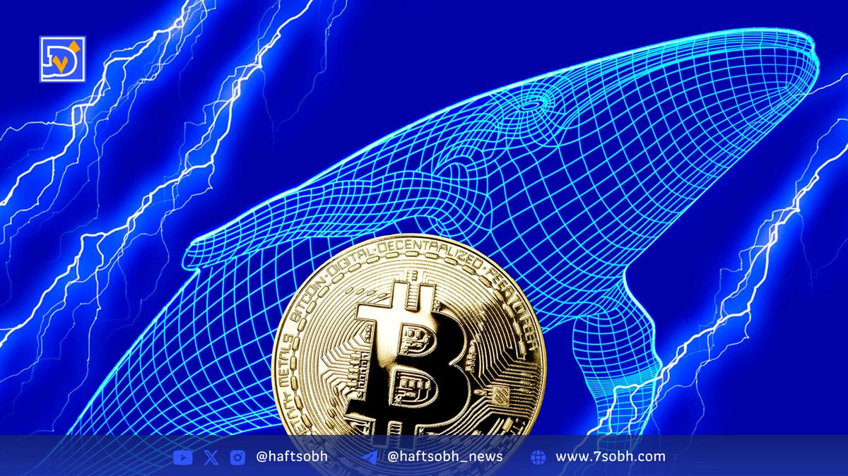 نهنگ‌های بیت‌کوین در 2025: بازیگران اصلی بازار با نفوذی بی‌سابقه