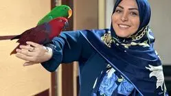 نگاهی به چیدمان خانه المیرا شریفی مقدم؛ از مبلمان کلاسیک تا تزئینات ایرانی + عکس