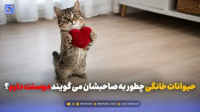 تاثیرات نگهداری از حیوانات خانگی بر کودکان؛ معایب و مزایا