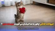 حیوانات خانگی چطور به صاحبشان می گویند دوستت دارم؟
