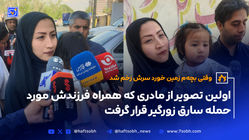 تشریح جزییات حادثه زورگیری در خیابان بعثت